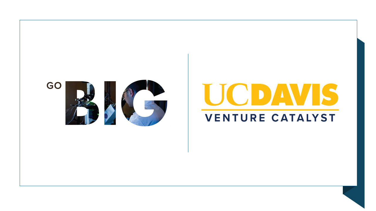 BIG Webpage Logo